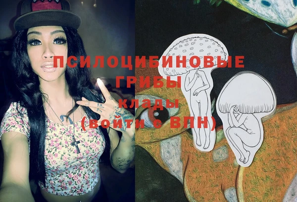 эйфоретик Билибино