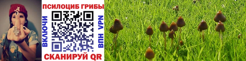 Галлюциногенные грибы Psilocybine cubensis Гагарин