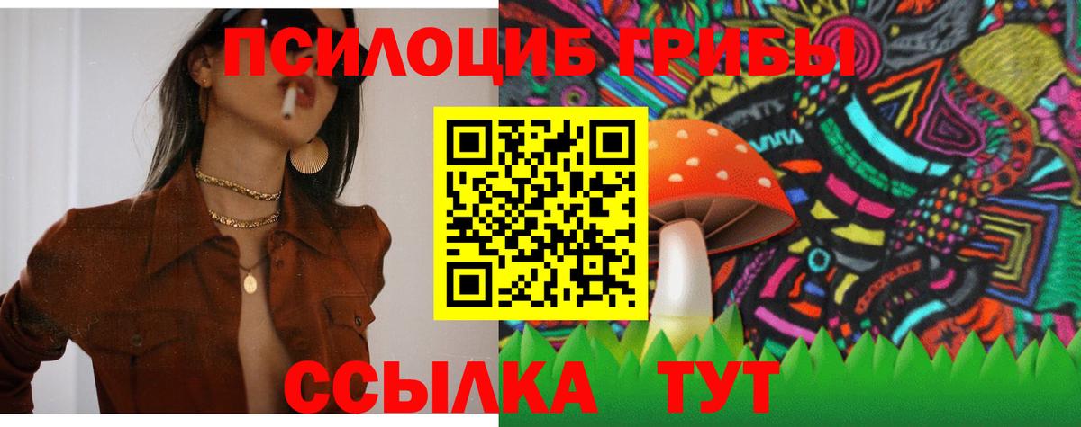 Гагарин  Псилоцибиновые грибы Cubensis  Вход с VPN 