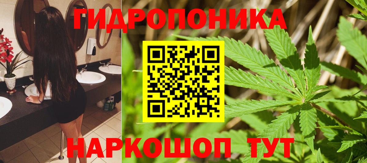 Конопля OG Kush  Бошки марихуана план  Шишки марихуана THC 21%  Марихуана SATIVA & INDICA  Вход с VPN  Гагарин 